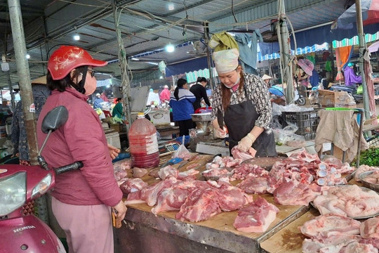 Giá thịt lợn ‘nhảy đồng’, chủ trang trại ở Hải Phòng thừa nhận tình cảnh chăn nuôi hiện tại