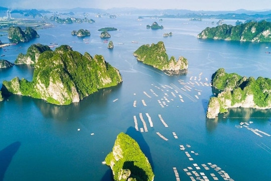'Mỏ vàng' mang về gần 150 tỷ mỗi ngày tại tỉnh nhiều thành phố nhất của cả nước