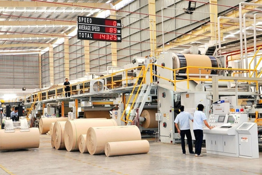 Ngược dòng sóng thuế quan, doanh nghiệp giấy 31 năm tuổi chuẩn bị nâng công suất thêm 390.000 tấn