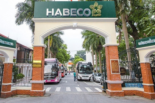 ‘Phát súng’ đầu năm 2025 của ngành bia: Một công ty báo lỗ quý I dù 50% tài sản là tiền mặt
