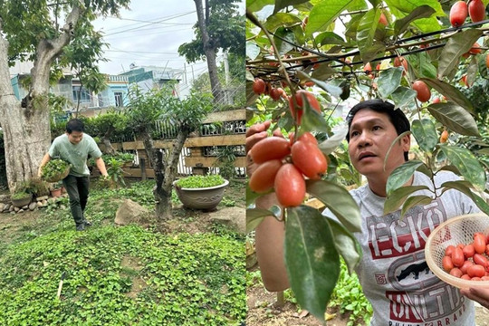 Nam ca sĩ là 'ông hoàng nhạc đỏ', sống trong biệt thự xa hoa nhưng vẫn cực mê loại cỏ mọc dại xưa là cây cứu đói, biểu tượng của một tỉnh