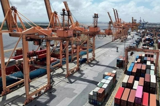 'Hạt tỷ đô' Việt Nam tiến thẳng sang Mỹ: Giá bán cao ngất ngưởng còn được hưởng thuế 0%