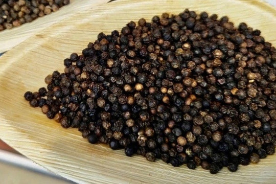 Mang về 10.000 tỷ mỗi năm, loại gia vị đại bổ này vẫn thua mì chính trong mâm cơm người Việt