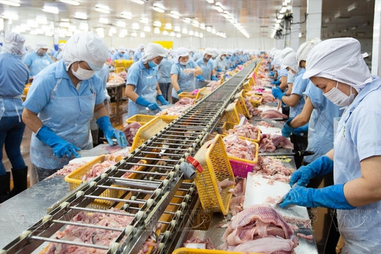 Doanh nghiệp thủy sản gần 6.000 lao động 'làm không hết việc', lãi quý I/2025 gấp 8 lần bất chấp thuế quan