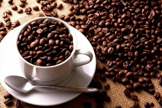 32.300 tấn 'vàng nâu' Việt Nam được Mỹ chốt đơn trong 3 tháng đầu năm