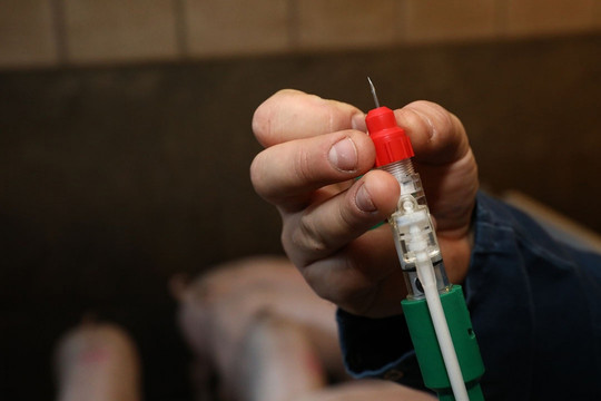 Dabaco (DBC) chật vật thoát lỗ năm 2022–2023: Liều 'vaccine tăng trưởng' bất ngờ giúp lãi khủng 508 tỷ ngay quý I/2025