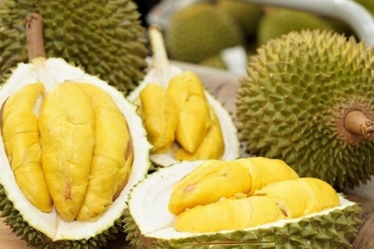 Đưa sầu riêng chín cây lên bàn tiệc nhà giàu Trung Quốc chỉ trong 48 giờ: Xuất hiện đối thủ đáng gờm của sầu Việt