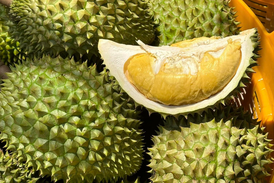 Sầu riêng Việt bị Thái Lan vượt mặt tại Trung Quốc, thêm mối nguy mới từ Lào