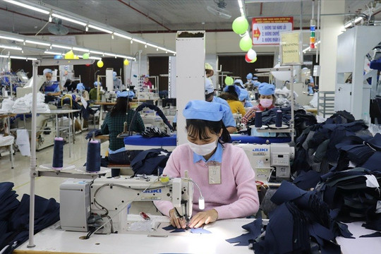 Doanh nghiệp dệt may 2.900 lao động sắp chốt quyền trả cổ tức bằng tiền tỷ lệ 100%
