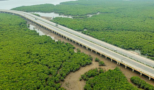 Cây cầu uốn lượn giữa rừng ngập mặn đẹp nhất miền Bắc, là cây cầu thứ 6 bắc qua 'vịnh Sydney của Việt Nam'
