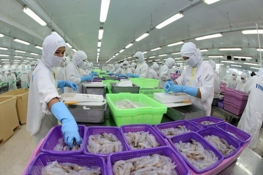 Doanh nghiệp thủy sản 2.400 nhân sự báo lãi quý I/2025 gấp 7 lần: Thị trường chính là Mỹ, Nhật Bản
