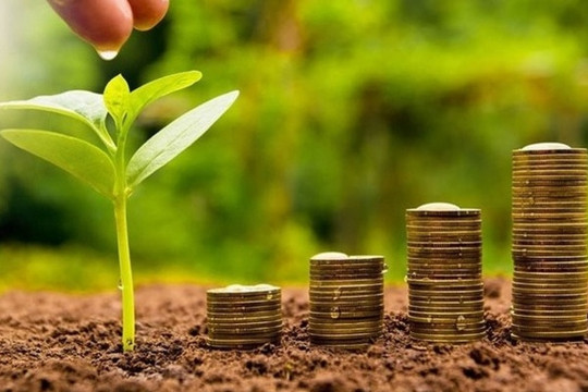 4 doanh nghiệp sắp trả cổ tức tỷ lệ trên 30%, cao nhất lên tới 110% bằng tiền