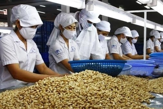 Mỹ áp thuế, loại hạt tỷ đô của Việt Nam chuyển hướng đẩy mạnh sang Trung Đông