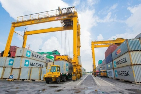 Viconship (VSC) điều chỉnh tăng kế hoạch lợi nhuận 2025, dự kiến chia cổ tức bằng tiền