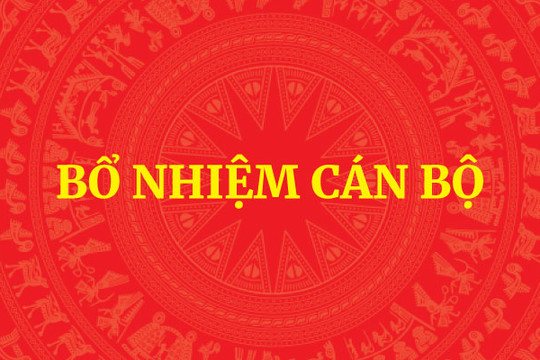 Bộ Chính trị, Ban Bí thư chỉ định Bí thư Tỉnh ủy sau sáp nhập