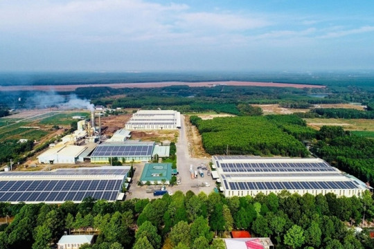 Phó giám đốc Ban IV: 'Nhận thức của doanh nghiệp về chuyển đổi xanh đã thay đổi'