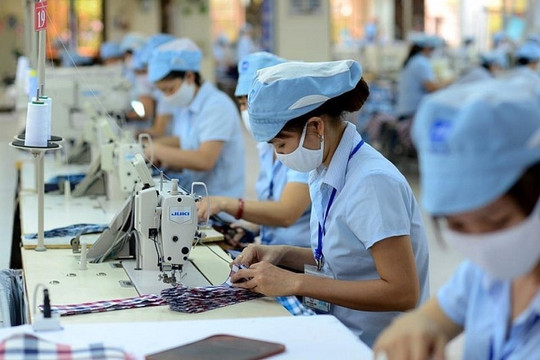 Trước thời điểm quyết định về thuế quan Mỹ, doanh nghiệp dệt may với 1.000 nhân sự báo lãi gấp 56 lần