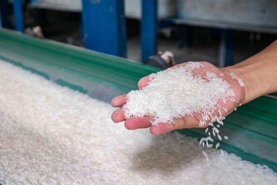 Thái Lan rơi khỏi vị trí số 2, Việt Nam bứt phá trên bản đồ gạo toàn cầu