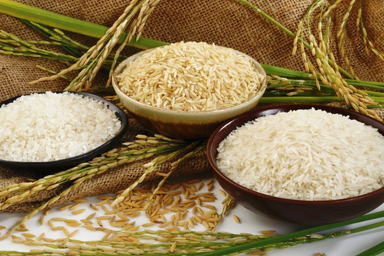 Dân Nhật đổ xô mua gạo Việt Nam giữa cơn sốt giá kỷ lục, chuyện gì đang xảy ra?