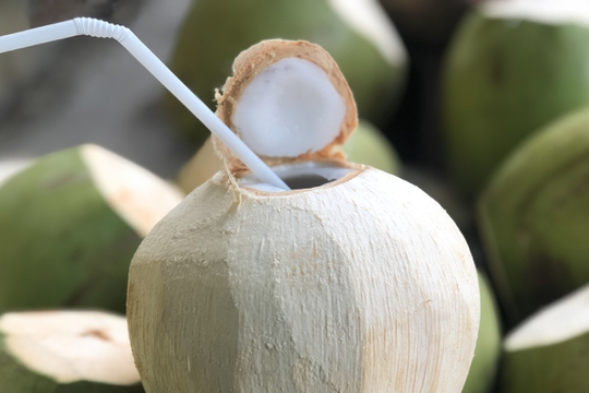 Nghỉ lễ đi chơi vùng nắng nóng, có nên uống nước dừa thay nước lọc?