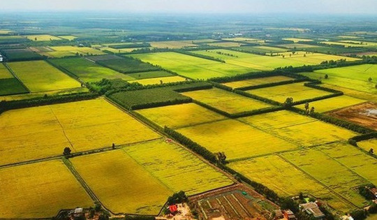Từ bây giờ, một loại đất bị biến thành đất ở sẽ bị phạt tới 400 triệu đồng