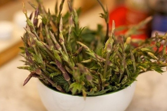 Từng bị xem là phế phẩm, loại rau này hiện có giá trị cao nhất thế giới: Người giàu sẵn sàng chi đến 40 triệu đồng cho 1kg
