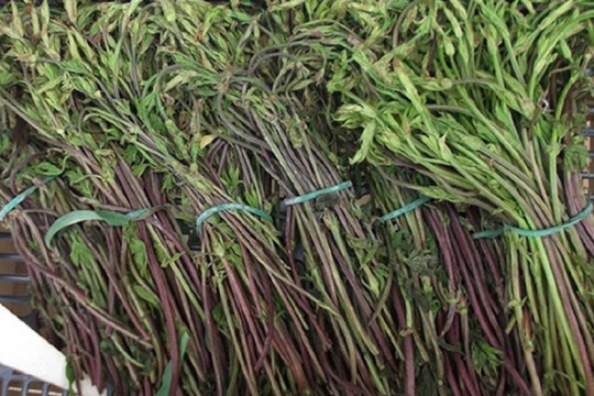 Loại hoa từng bị coi là phế phẩm nay được săn lùng: Giá lên tới 39 triệu/kg, phải may mắn lắm mới có thể mua