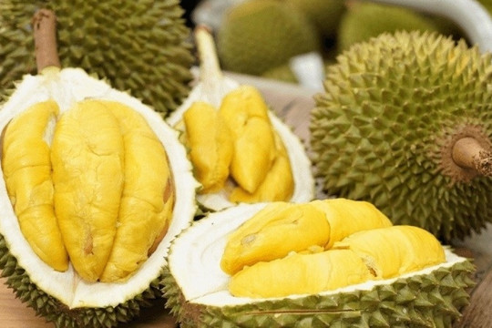 Rào cản khiến sầu riêng Việt 'mắc cạn' ở cửa khẩu Trung Quốc