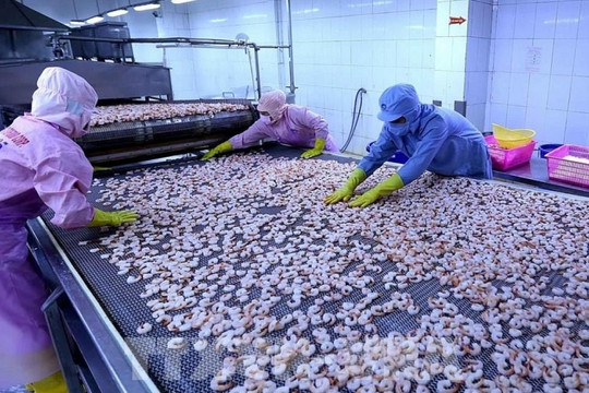 Doanh nghiệp thủy sản 12.600 nhân sự lãi quý trở lại, xuất khẩu trăm triệu USD sang Mỹ, EU, Nhật, Úc...