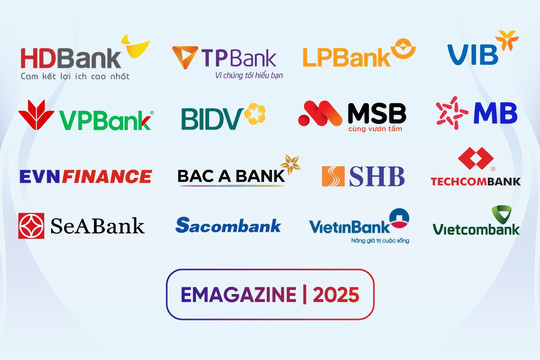 Đột phá hậu ĐHCĐ 2025: Dấu ấn HD Financial Group, EVNFinance tăng tốc