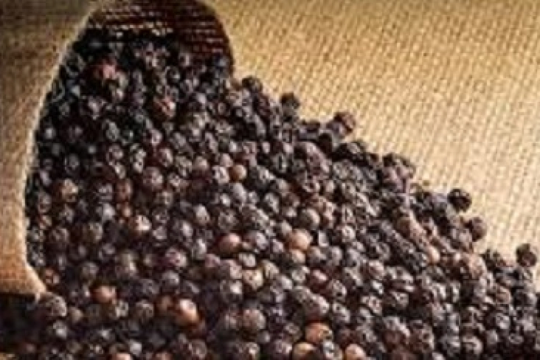 Một 'mỏ vàng' đắt đỏ của Việt Nam được Mỹ, Trung Quốc cực kỳ ưa chuộng: Thu về 510,6 triệu USD kể từ đầu năm