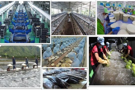 Tổng Bí thư Tô Lâm và tư duy lý luận mới về kinh tế tư nhân