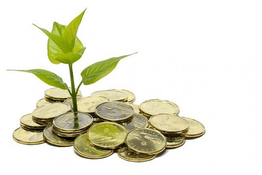 Thêm 11 doanh nghiệp sắp chốt quyền trả cổ tức bằng tiền, cao nhất 30%