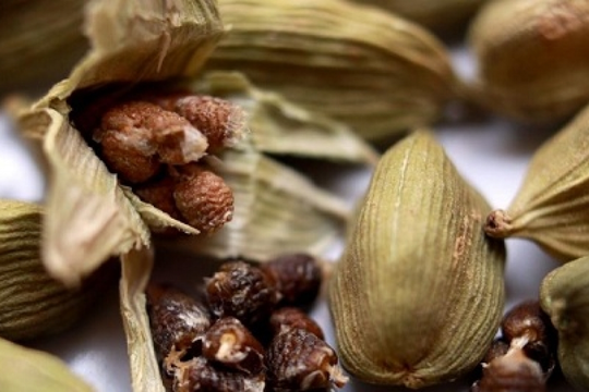 Việt Nam sở hữu loại 'nữ hoàng' gia vị đắt đỏ thứ 3 thế giới: Mỹ, Anh, Hà Lan ráo riết săn lùng