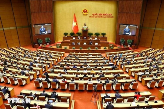 Đại biểu Quốc hội nói thẳng: Không thể phát hiện người tài bằng hồ sơ, bằng cấp, hay qua các kỳ thi hình thức