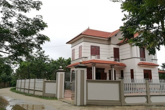 Loại cây tài lộc biến ngôi làng nghèo tại Vĩnh Phúc thành làng 'tỷ phú'