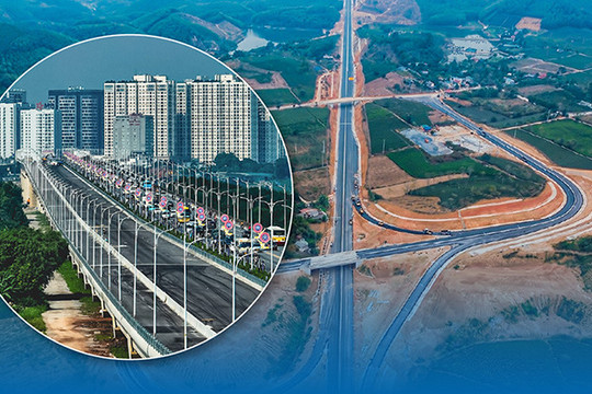 Những con số giật mình trong vụ án Tập đoàn Thuận An