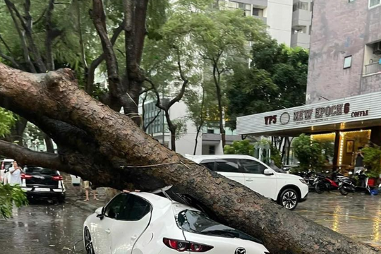 Lộ diện những 'góc khuất' bảo hiểm ô tô