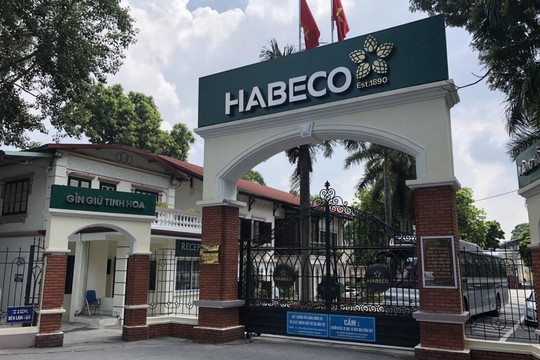 Tích luỹ hơn 700 tỷ đồng lợi nhuận chưa phân phối, Habeco (BHN) dành 266 tỷ trả cổ tức năm 2023