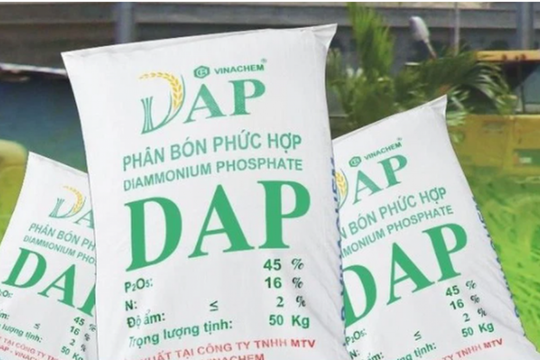 DAP Vinachem (DDV) báo lãi lớn nhờ trực tiếp xuất khẩu, chuẩn bị chi 131 tỷ đồng trả cổ tức