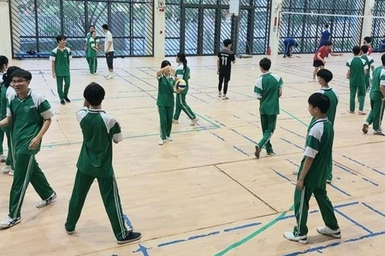 Những ngành nghề được tuyển lao động dưới 13 tuổi theo luật Việt Nam