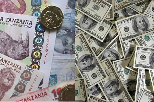 Phi USD hóa mạnh tay: Một quốc gia cấm hoàn toàn giao dịch nội địa bằng đô la Mỹ