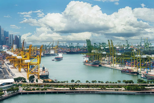 Từ Thâm Quyến, Singapore đến viễn cảnh Hải Phòng
