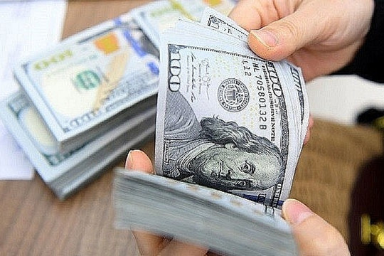 Tỷ giá ngày 23/5: USD phục hồi nhẹ, chợ đen giảm giá