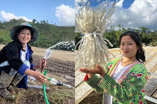 Cô gái dân tộc 23 tuổi là 'trùm' miến dong nổi tiếng cả nước: Từng nghèo không có tiền đi đẻ, nay doanh thu 4 tỷ/tháng, tài sản nhiều người mơ