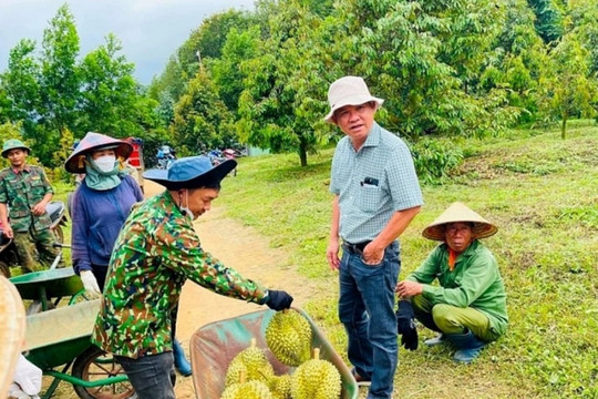 Sở hữu 2.000ha loại cây siêu lợi nhuận, Hoàng Anh Gia Lai (HAGL) của bầu Đức đón tin vui từ Thủ tướng