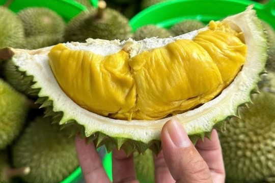 Sầu riêng Việt Nam tụt hạng xuất khẩu, Thủ tướng chỉ đạo 'giải cứu' toàn diện ngành hàng tỷ đô