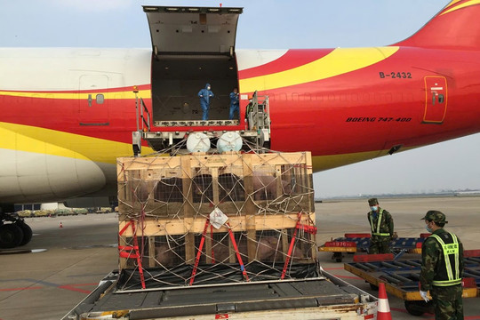 Đơn hàng sang Trung Quốc bị hủy hàng loạt, doanh nghiệp quay cuồng tìm lối thoát: Chuyện gì xảy ra?