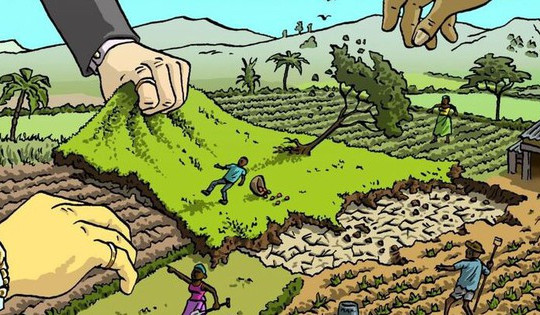 Năm 2025, mức phạt hành vi lấn chiếm đất chưa sử dụng tăng kỷ lục, lên đến tiền tỷ