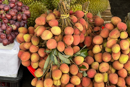 Vải thiều vào vụ, giá rẻ bất ngờ